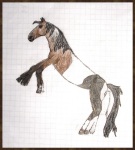 пегая лошадка. нарисовано: 11.01.2011