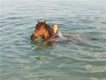 На Груне уже можно плавать,как на большом коне;)