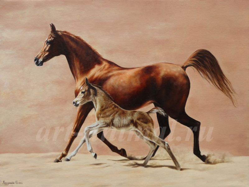 Лучшие речи кони. Арабская лошадь жеребенок. Лошадь с жеребенком. Лошадь с жеребенком Веретенникова. Жеребенок арабского скакуна.