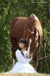 Девушка и ее лошадь