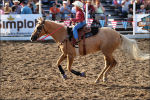 Caldwell Night Rodeo 