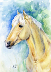 Акварель; владелец лошади Кристина Купряшкина