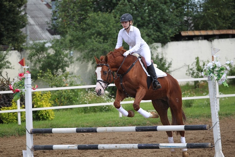 http://www.equestrian.ru/photos/user_photo/2012/1f88225d.jpg