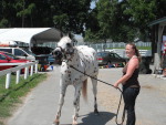 At the Lexington Kentucky Horse Park, Breyerfest in Kentucky, America. July 2012