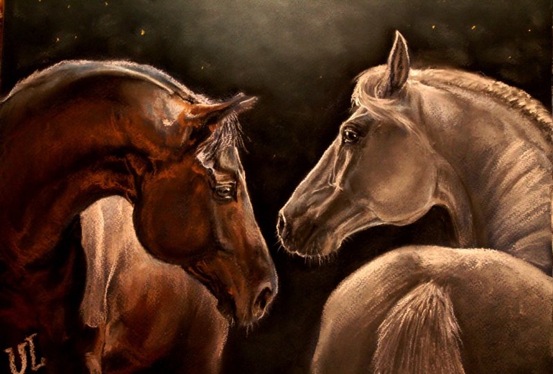 Лошадь с 2 девушками. Спартако Ломбардо лошади. Любовь лошадей. Влюбленные лошади. Пара лошадей.