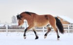 фото Анны Бабенко)) мы теперь на свободе сами собираемся)