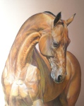 48х38 см пастельный рисунок лошади ахалтекинской породы по фото Екатерины Друзь