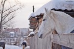 То что потеряно - не вернуть, храни то что любишь* Фотосет в КСК. Январь 2013 г