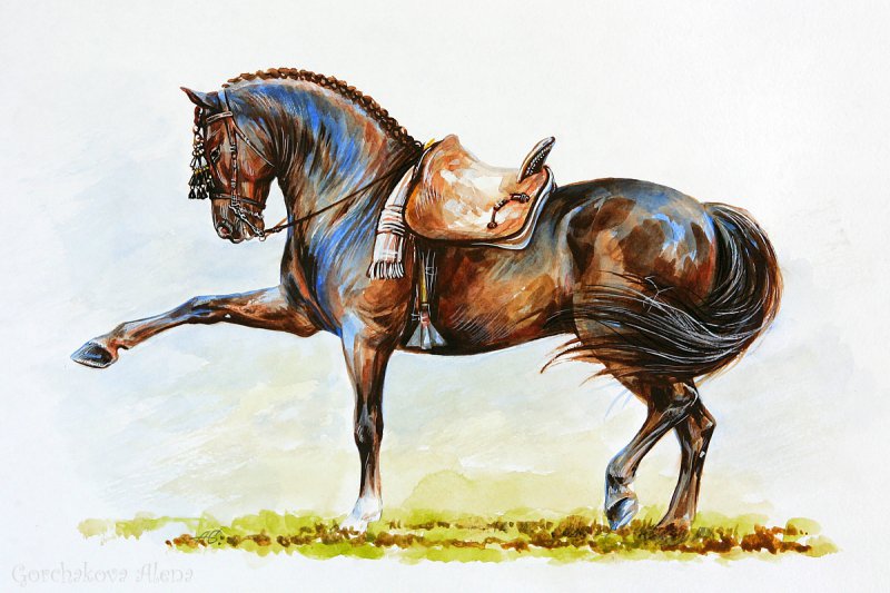 Мои рисунки =) - альбомы - Горчакова Алена Михайловна - конники ...