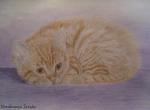 Котёнок Алиса, акварельные карандаши, нарисовано по просьбе родственников (размещено только в личном альбоме)