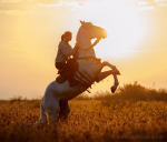 "UKRAINIAN COSSACKS HORSE SHOW" www.cossacks.kiev.ua