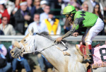 Ипподром Churchill Downs 2011 год. Скачка Breeders' Cup Marathon.