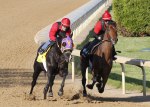 Ипподром Churchill Downs 2011 год, подготовка к первому этапу Тройной Короны - Kentucky Derby.