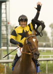 Ипподром Hollywood Park(закрыт) 2010 год, скачка Hollywood Gold Cup Handicap