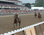 Ипподром Belmont Park 2005 год. Последний этап Тройной Короны - Belmont Stakes.