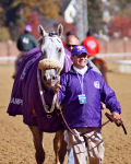 Ипподром Churchill Downs 2011 год. Скачка Breeders' Cup Marathon.