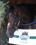 Belmont Park 2012 год. 