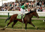 Ипподром Pimlico 2005 год. Второй этап Тройной Короны - Preakness Stakes.