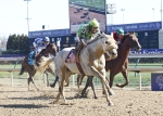 Ипподром Churchill Downs 2011 год. Скачка Breeders' Cup Marathon.