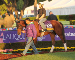 Паддок Santa Anita Park'а 2013 год, подготовка к Breeders' Cup Distaff 