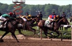 Belmont Park 1992 год. Последний этап Тройной Короны - Belmont Stakes.