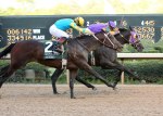 Ипподром Oaklawn Park 2011 год, скачка Arkansas Derby.