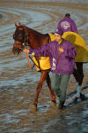 Ипподром Santa Anita 2007 год, скачка Breeders' Cup Stakes 