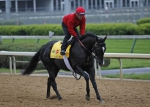 Ипподром Churchill Downs 2011 год, подготовка к первому этапу Тройной Короны - Kentucky Derby.