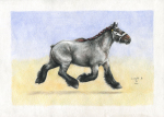 (Belgian Draft Horse) 21х29.7