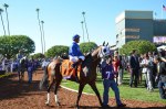 Ипподром Santa Anita Park 2013 год. Скачка Breeders' Cup Dirt Mile