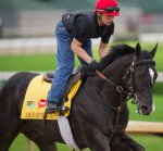 Ипподром Churchill Downs 2011 год, подготовка к первому этапу Тройной Короны - Kentucky Derby.