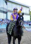 Ипподром Oaklawn Park 2011 год, скачка Arkansas Derby.