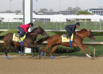 Ипподром Churchill Downs 2014 год, подготовка к первому этапу Тройной Короны.