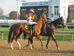 Ипподром Churchill Downs 2011 год, скачка MSW