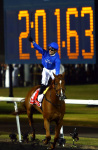 Ипподром Meydan, ОАЭ 2014 год. Скачка Dubai World Cup.