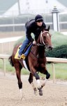 Ипподром Churchill Downs 2012 года. Подготовка к первому этапу Тройной Короны - Kentucky Derby.