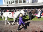 Ипподром Churchill Downs 2011 год. Скачка Breeders' Cup Marathon.