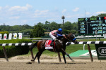 Ипподром Belmont Park 2014 год, скачка Woody Stephens Stakes