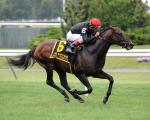 Ипподром Belmont Park 2013 год, скачка Man o' War Stakes