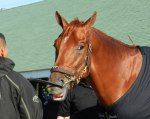 Churchill Downs 2014 год.