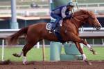 Santa Anita Park 2016