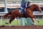 Santa Anita Park 2016