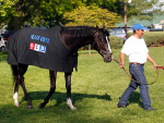 Churchill Downs 2013 год.