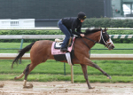 Ипподром Churchill Downs 2010 год, подготовка к Kentucky Oaks G1.