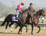 Ипподром Santa Anita 2013 год, подготовка к Breeders' Cup Juvenile - Gr. 1