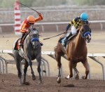 Ипподром Sunland Park 2014 год, скачка Sunland Derby - Gr. 3