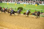 Ипподром Pimlico 2013 год, второй этап Тройной Короны - Preakness Stakes G1.