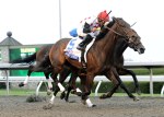 Ипподром Keeneland 2011 год, скачка Blue Grass Stakes