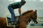 Santa Anita Park