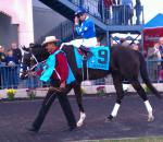 Ипподром Turfway Park, скачка Spiral Stakes 2013 год.